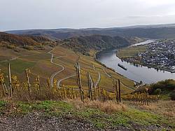 Mosel-Erlebnisprogramme