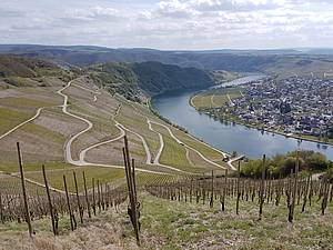 Reiseleitung Großregion
